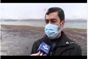 رصد و پایش آنفلوانزای فوق حاد پرندگان در تالاب چغاخور