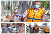11 اکیپ ثابت و 21 اکیپ سیار کار نظارت بهداشتی را بر دامها و لاشه های قربانی مردم در 10 شهرستان استان در روز عید قربان انجام دادند. 