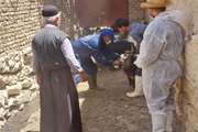 در اردوی جهاد دامپزشکی شهرستان فارسان بیش از 2000 رأس دام بر علیه بیماری طاعون نشخوارکنندگان کوچک(PPR) مایه کوبی شدند. 