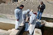 صد هزار قطعه بچه ماهی به دلیل آلودگی به بیماری ویروسی در یکی از روستاهای شهرستان خانمیرزا معدوم گردید. 