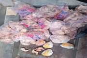 350 کیلوگرم گوشت مرغ فاقد هویت و تاریخ مصرف گذشته در شهرستان خانمیرزا معدوم گردید. 