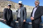 بازدید مشترک دامپزشکی و شیلات استان از تأسیسات پرورش ماهی در قفس دریاچه سد کارون 4