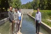 بازدید مشترک از مزارع پرورش ماهی رودخانه پروز در شهرستان فلارد انجام شد