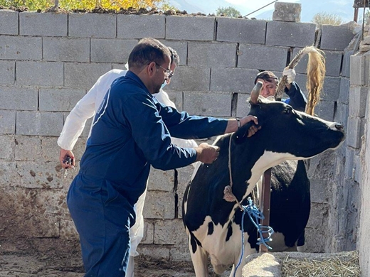 رئیس شبکه دامپزشکی شهرستان اردل: برنامه نذر خدمت با حضور ادارات خدمت رسان نظیر هلال احمر، شبکه بهداشت و درمان، دامپزشکی و ... در منطقه میانکوه برگزار شد