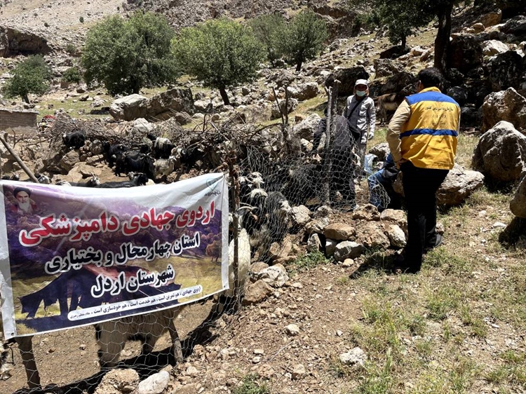 اردوی جهاد دامپزشکی در منطقه محروم دیناران شهرستان اردل (+تصاویر)